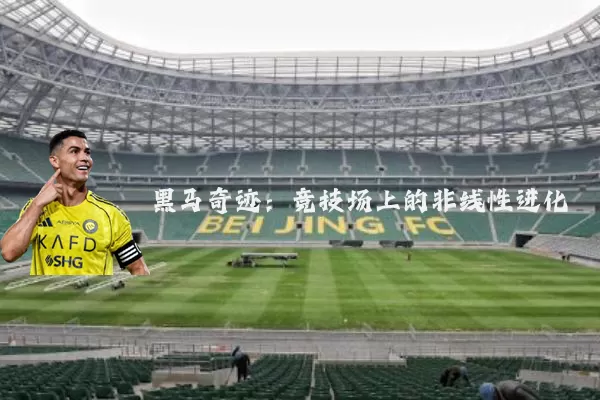 黑马奇迹：竞技场上的非线性进化
